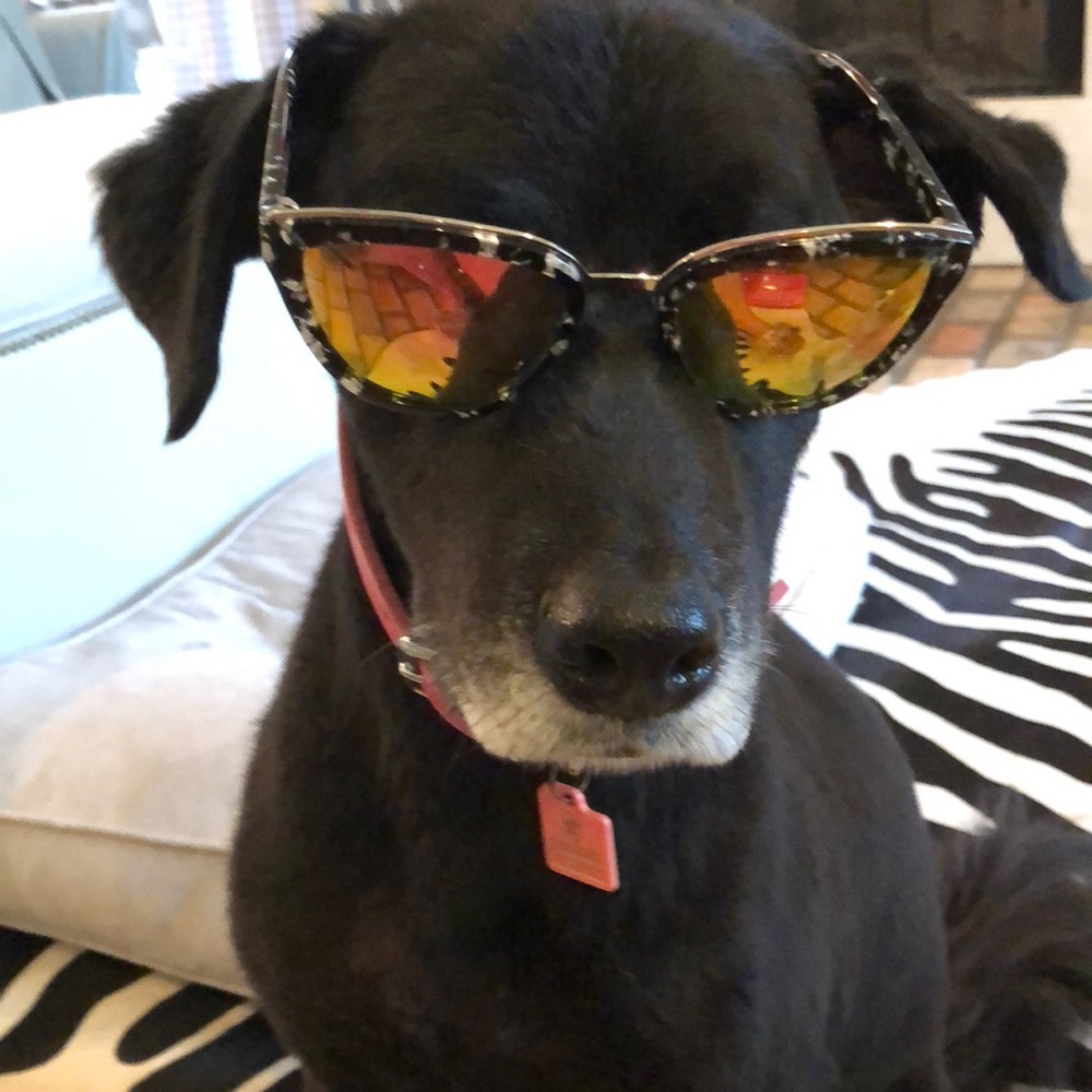 DIFF ROSE SUNGLASSES POLARIZED